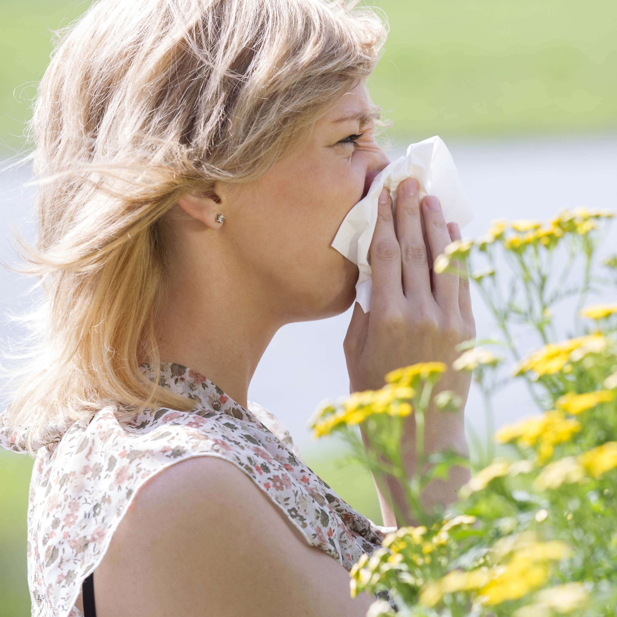 Read more about the article Allerjik Nezle